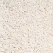 9 cereales que podemos consumir las personas celiacas