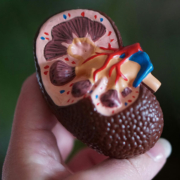Enfermedad celiaca e insuficiencia renal